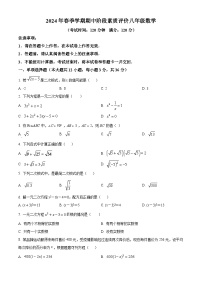 广西壮族自治区崇左市宁明县2023-2024学年八年级下学期期中数学试题