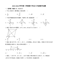 山东省德州市德城区2023-2024学年八年级下学期期中数学试题