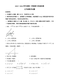 山东省菏泽市单县2023-2024学年七年级下学期4月期中数学试题