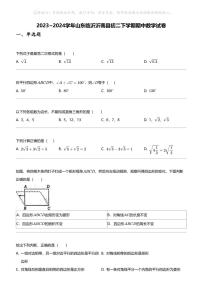 2023_2024学年山东临沂沂南县初二下学期期中数学试卷