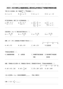 2023_2024学年上海浦东新区上海市洪山中学初三下学期月考数学试卷