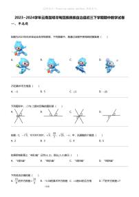 2023_2024学年云南昆明寻甸回族彝族自治县初三下学期期中数学试卷