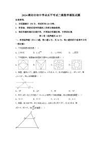 2024年山东省潍坊市初中学业水平考试二模数学模拟试题（含解析）