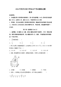 2024年山东省枣庄市初中学业水平考试数学模拟试题 （含解析）