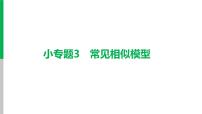 中考数学复习课件  小专题3　常见相似模型