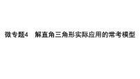 中考数学一轮复习 课件 微专题4　解直角三角形实际应用的常考模型