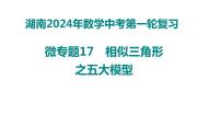 数学中考第一轮复习微专题17　相似三角形之五大模型 课件