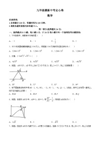 2024年陕西省咸阳市秦都区中考模拟数学试题(无答案)