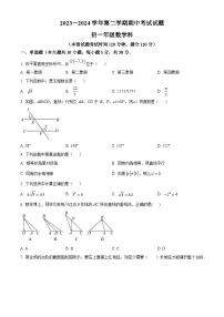 广东省东莞市光明中学2023-2024学年七年级下学期期中数学试题（原卷版+解析版）