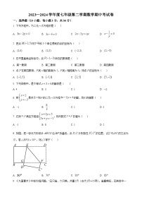 广东省惠州市惠州市惠阳区第一中学2023-2024学年七年级下学期期中数学试题（原卷版+解析版）