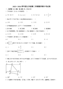 广东省惠州市惠州市惠阳区第一中学2023-2024学年七年级下学期期中数学试题（原卷版+解析版）