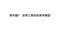 九年级中考数学一轮复习 考点讲练课件 ：微专题3 全等三角形的常考模型