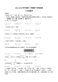 河南省周口市商水县2023-2024学年七年级下学期期中数学试题（含答案）