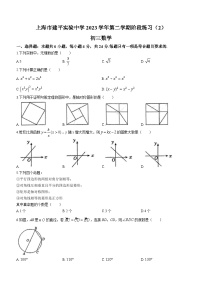 上海市建平实验学校2023-2024学年九年级下学期月考数学试题(无答案)