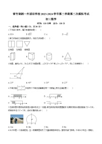 2024年湖南省长沙市青竹湖湘一外国语学校中考二模数学试题（含答案）