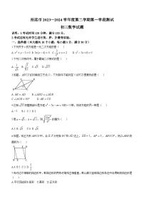 山东省烟台市招远市2023-2024学年下学期九年级期中考试数学试题（含答案）