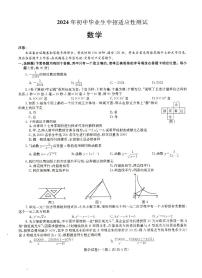 河南省驻马店市汝南县三门闸乡天中山中学2023—2024学年九年级下学期5月月考数学试题