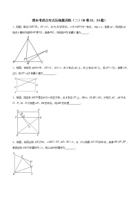 北师大版八年级数学下册期末考试点对点压轴题训练(二)(B卷22、23题)(原卷版+解析)