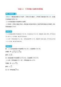 人教版七年级数学下册压轴题专项讲练专题8.4行程问题与销售利润问题(原卷版+解析)