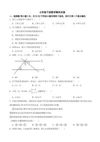 河南省商丘市2024年七年级下册数学期末试卷附参考答案