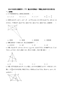 2024年北师大版数学八（下）重点专项突破1 等腰三角形中的分类讨论