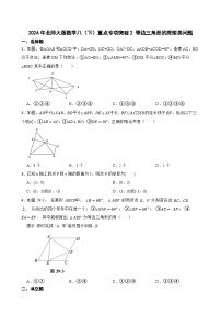 2024年北师大版数学八（下）重点专项突破2 等边三角形的探索类问题