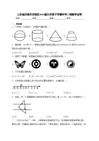 山东省济南市济阳区2024届九年级下学期中考二模数学试卷(含答案)