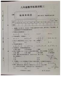 河南省安阳市滑县老店镇第一初级中学2023-2024学年八年级下学期5月月考数学试题