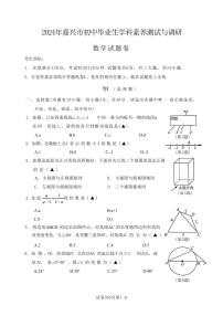 2024年浙江省嘉兴市九年级学科素养测试与调研数学试卷（含答案）