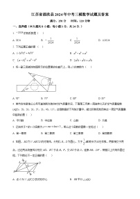 2024年江苏省宿迁市泗洪县九年级数学中考三模试题（原卷版+解析版）