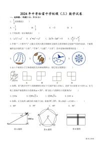 2024年哈尔滨市松雷中学九年级校三模数学试卷及答案