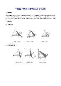 中考数学 专题06 对角互补模型在三角形中应用（专题练习）