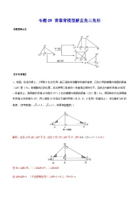 中考数学 专题09 背靠背模型解直角三角形（专题练习）