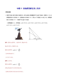 中考数学 专题11 拥抱模型解直角三角形（专题练习）