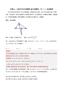 中考数学专题练习04 三角形中的导角模型-高分线模型、双（三）垂直模型