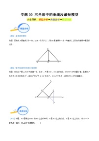 专题09 三角形中的垂线段最短模型-中考数学几何模型（重点专练）