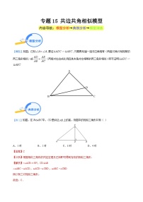 专题15 共边共角相似模型-中考数学几何模型（重点专练）