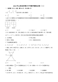 2024年山东省济南市中考数学模拟试卷（三）（原卷版+解析版）