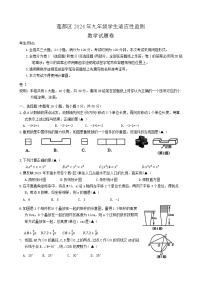 浙江省丽水市莲都区2024年九年级学生适应性监测数学试卷（附参考答案）