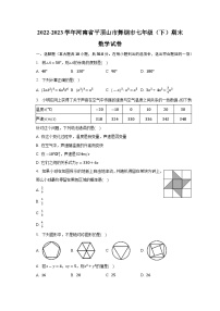 河南省平顶山市舞钢市2022-2023学年七年级下学期期末考试数学试卷(含解析)