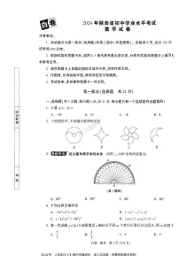 2024年陕西中考《黑白卷》数学白卷