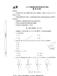 2024年陕西中考《黑白卷》数学黑卷