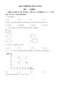 2022年安徽省中考数学真题试卷含解析