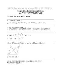 广东省东莞市东莞市沙田瑞风实验学校2023-2024学年八年级下学期数学期中试题