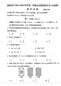 2024年河北省邯郸市邯山区扬帆初中学校九年级中考三模数学试卷