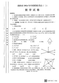 2024年河南省洛阳市九年级中考第三次模拟考试数学试卷