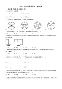 2024年黑龙江省绥化市明水县第二中学中考二模数学试题