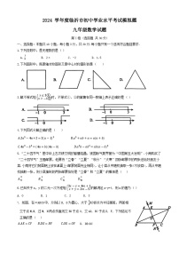 2024年山东省临沂市莒南县中考二模数学试题