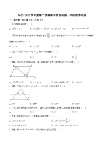 安徽省宿州市萧县2022-2023学年七年级下学期期中考试数学试卷(含解析)
