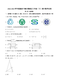 福建省宁德市蕉城区2022-2023学年八年级下学期期中考试数学试卷(含解析)